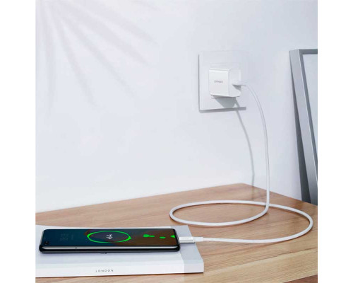 Кабель Ugreen High Quality USB-C Cable US300 USB-C to USB-C 2.0 100W 1m (60551)