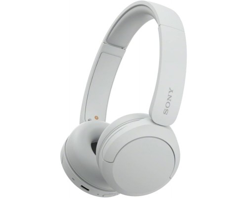 Беспроводные наушники Sony WH-CH520