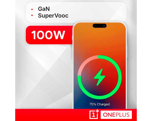 Оригинальное зарядное устройство OnePlus Supervooc Power Adapter Kit 100W