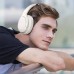 Беспроводные наушники Wiwu Sound Cool Headset TD-02