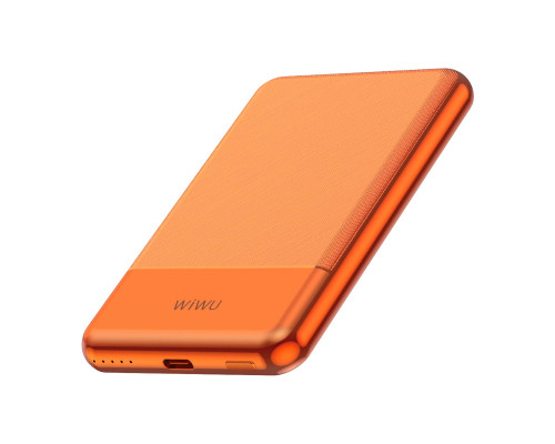 Внешний аккумулятор Wiwu Silver Seraph Alloy Unibody Power Bank 5000 mAh
