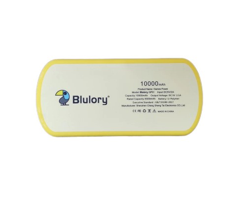 Blulory Pocket Game Power Bank 10000 mAh