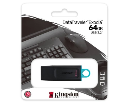 Флешка KINGSTONE DTX/64 GB USB 3.2