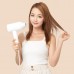 Фен для волос Xiaomi ShowSee (A1-W)