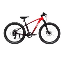Велосипед Xiaomi Ninebot Kids Sport Bike 24