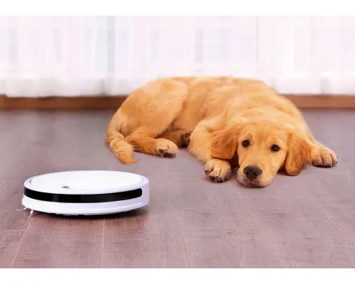 Робот-пылесос RoboRock Xiaowa Vacuum Cleaner C10 Робот-пылесос RoboRock Xiaowa Vacuum Cleaner C10