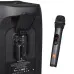 Беспроводной микрофон JBL Wireless Microphone System (2-pack - Black - Plug & Play)