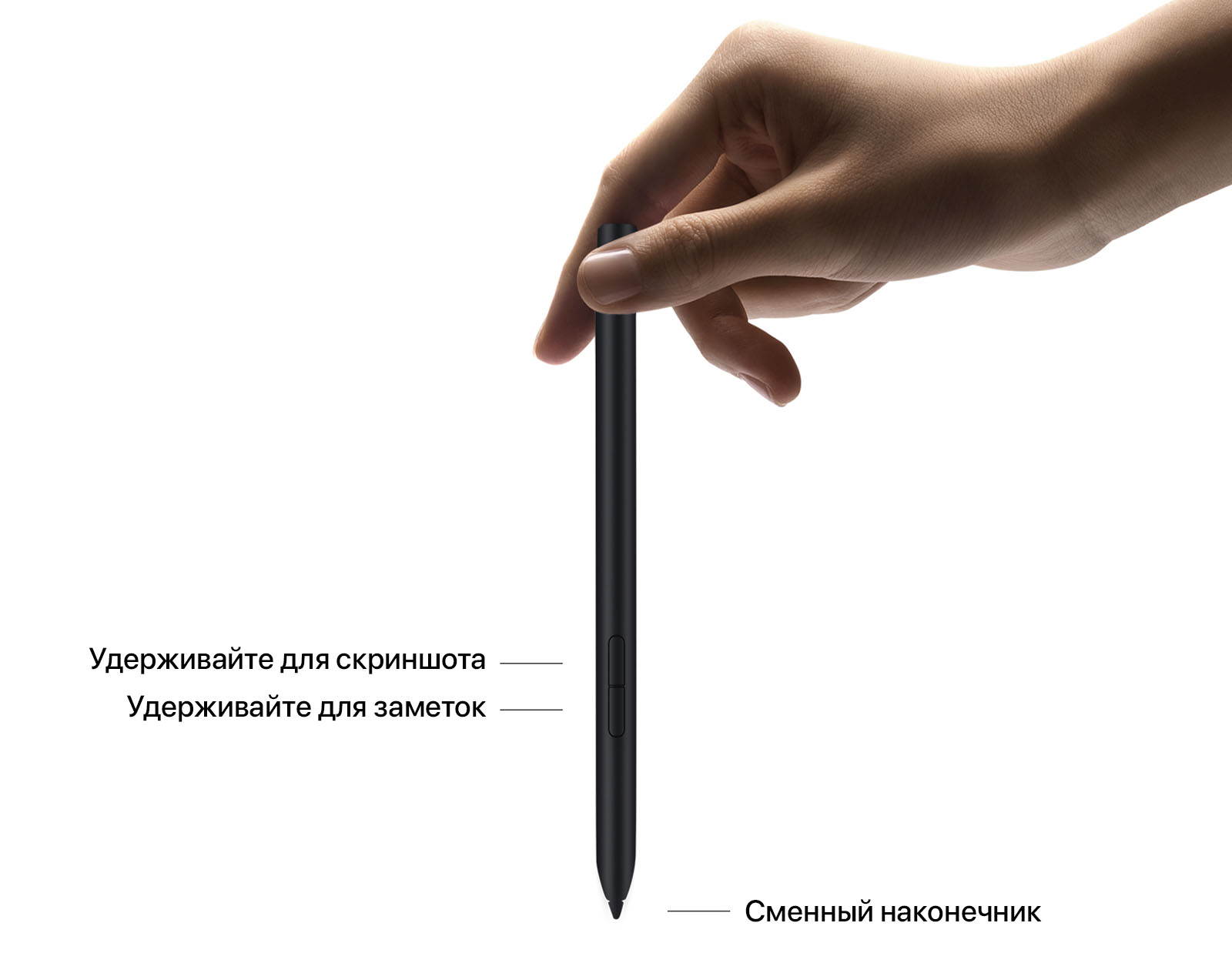 ✓Оригинальный стилус Xiaomi Smart Pen для Mi Pad 5/5 Pro купить в Бишкеке -  Login.kg