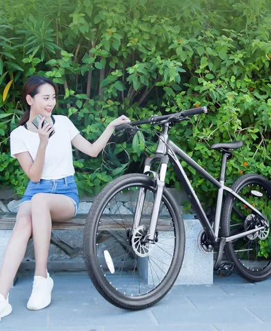 Горный велосипед Xiaomi QiCycle Mountain Bike XC650 17"