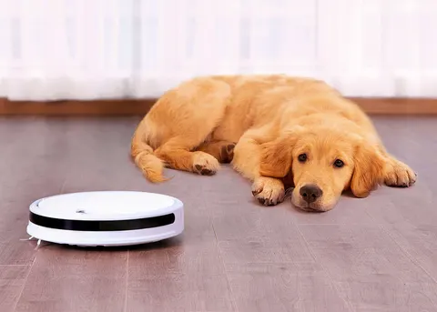 Робот-пылесос RoboRock Xiaowa Vacuum Cleaner C10
