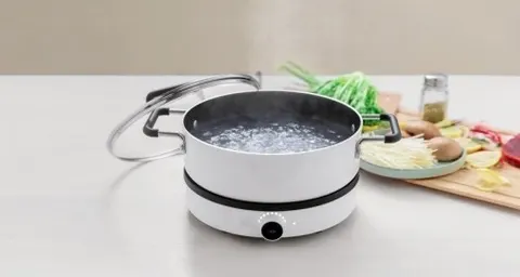 Индукционная плита Xiaomi Mijia Induction Cooker