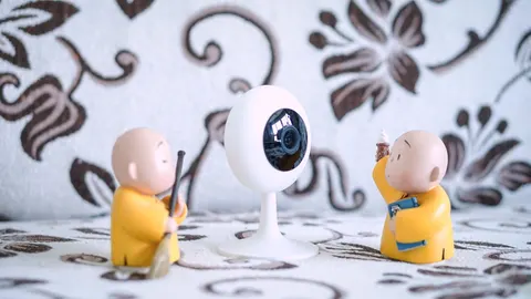 IMI Home Security Камера EU