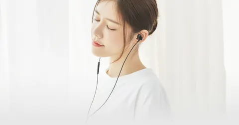 Наушники Xiaomi Mi In-Ear Headphones Pro 2