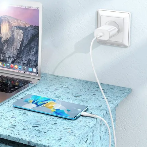 Зарядное устройство Borofone N22 Type-C на Ligthing
