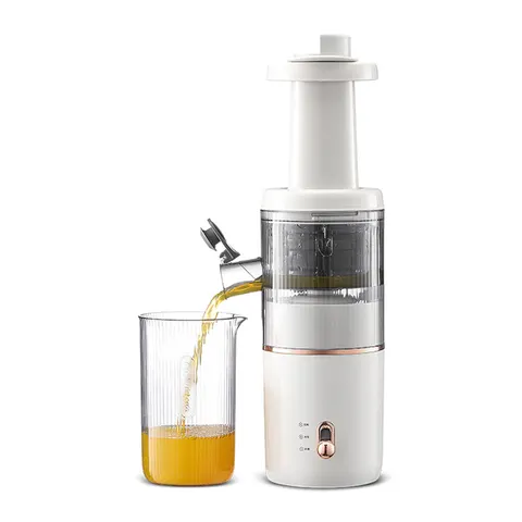 Портативная соковыжималка Morphy Richards Soda Slow Juicer MR9901