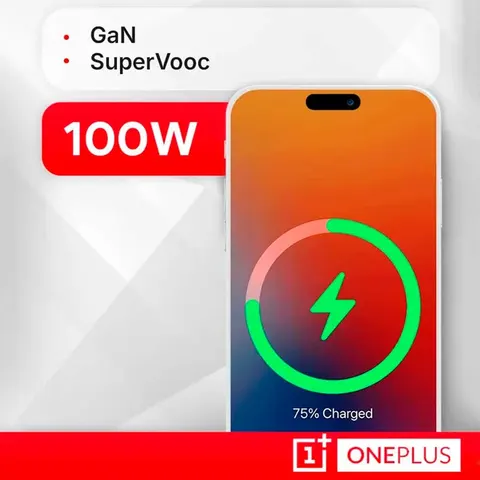 Оригинальное зарядное устройство OnePlus Supervooc Power Adapter Kit 100W