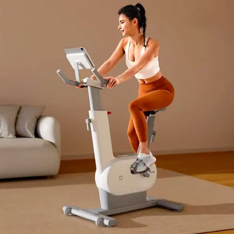 Велотренажер Mi Home Exercise Bike Self Powered Edition