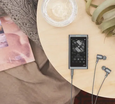 Портативный аудиоплеер Sony Walkman NW-A50 16Gb