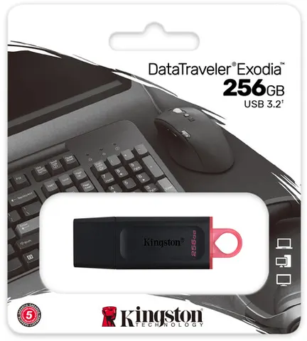 Флешка KINGSTONE DTX/256 GB USB 3.2