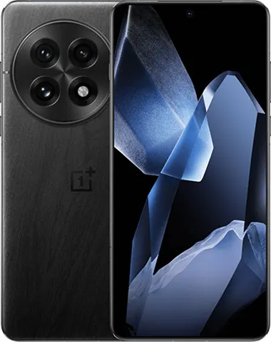 OnePlus 13 12+256GB CN