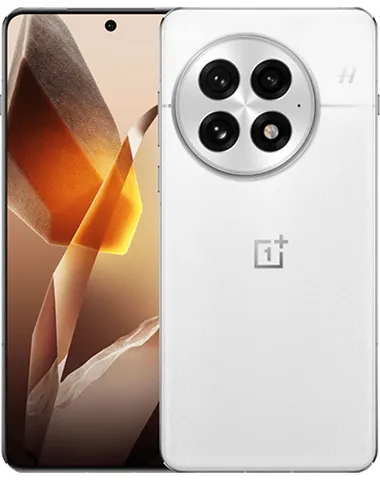 OnePlus 13 12+256GB CN