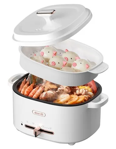 Deerma Multi-function Electric Cooker (DG20)