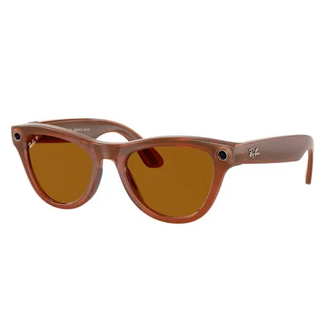 Солнцезащитные очки RayBan Meta Skyler RW4010