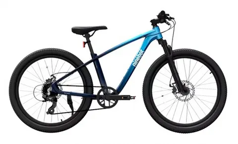 Велосипед Xiaomi Ninebot Kids Sport Bike 24