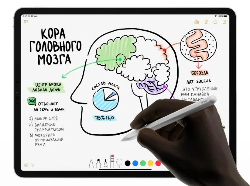 Стилус Apple Pencil 2st Generation (1)