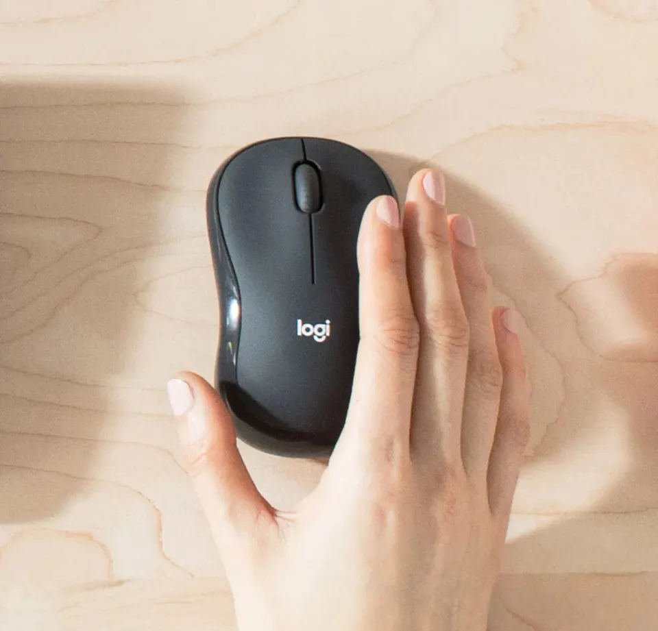 Беспроводная клавиатура и мышь Logitech MK295 (2)