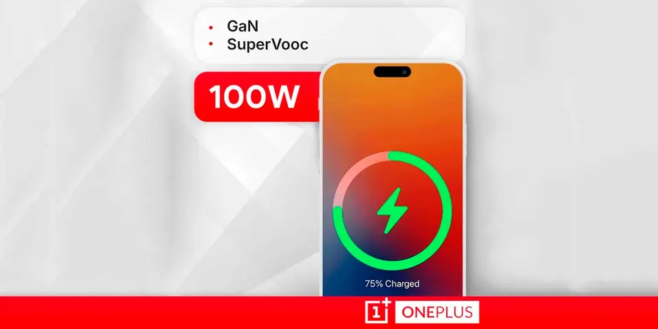 Оригинальное зарядное устройство OnePlus Supervooc Power Adapter Kit 100W (5)