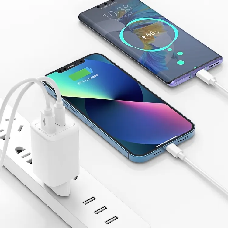 Зарядное устройство Wiwu Nano GaN PD + QC Fast Charger Wi-U012 65W (1)