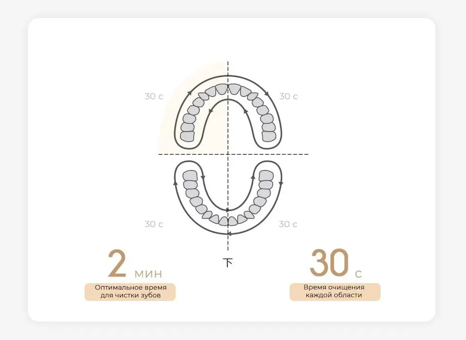 Электрическая зубная щетка Xiaomi Mijia T200 Electric Toothbrush (5)