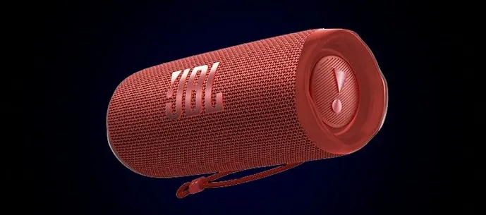 Портативная колонка JBL Flip 6 (7)