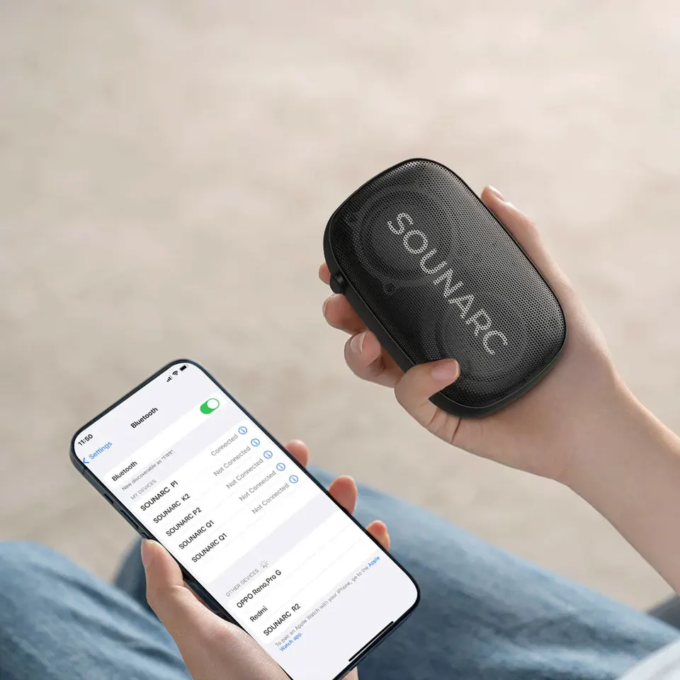 Портативная колонка Sounarc P1 (3)