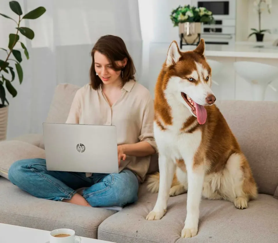 Ноутбук HP 15 15.6" FHD IPS Touch Intel Core i5-1334U 13th Gen / Intel UHD Graphics (16GB + 512GB SSD) Win11 (4)