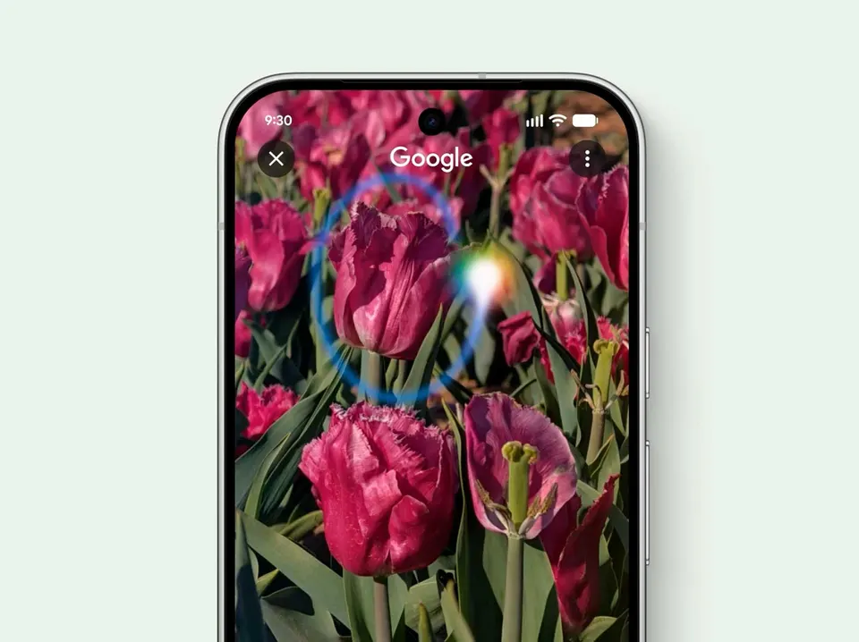 Google Pixel 11 Pro XL 12+256GB (21)