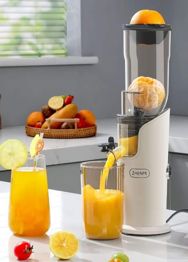 Соковыжималка Xiaomi Zhenmi (ZMGZ-J10) (3)