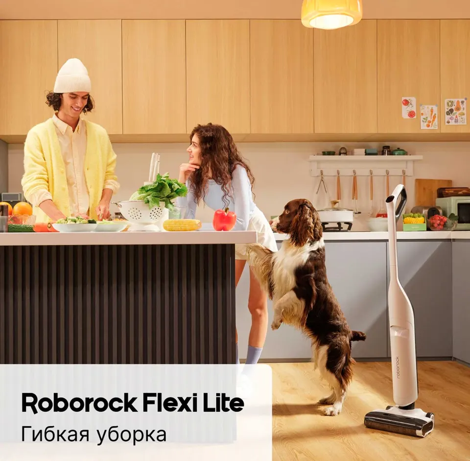Беспроводной ручной моющий пылесос Roborock Flexi Lite (1)