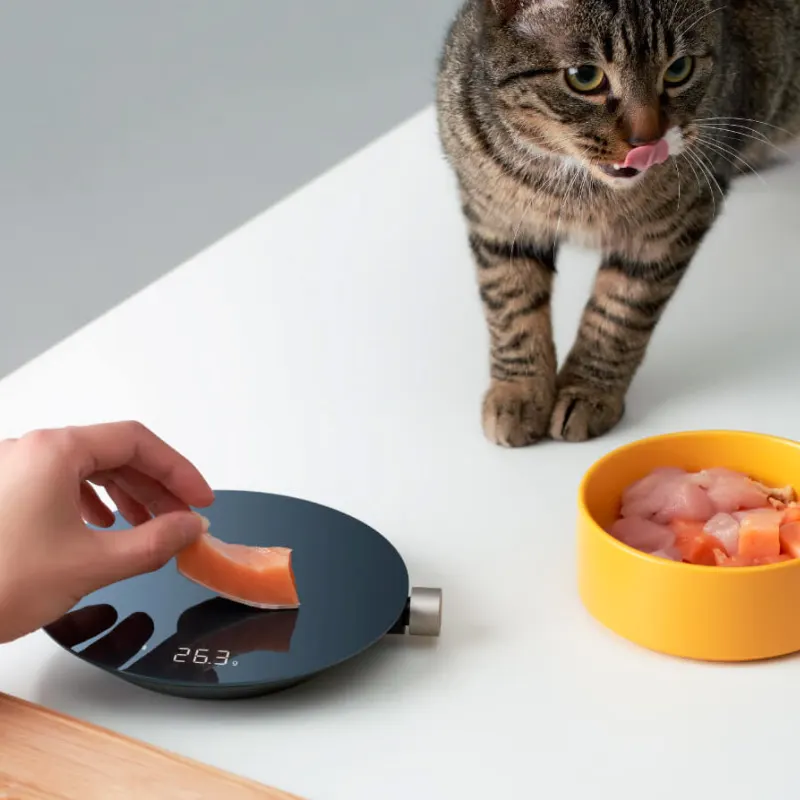 Умные кухонные весы Xiaomi Hoto Smart Kitchen Scale (2)