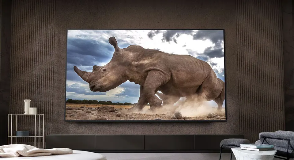 Телевизор LG 55'' 4K Smart OLED (9)